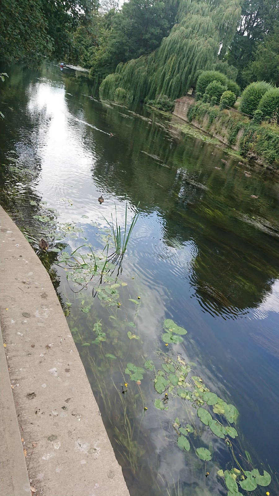Bradford on Avon Swimming Pool