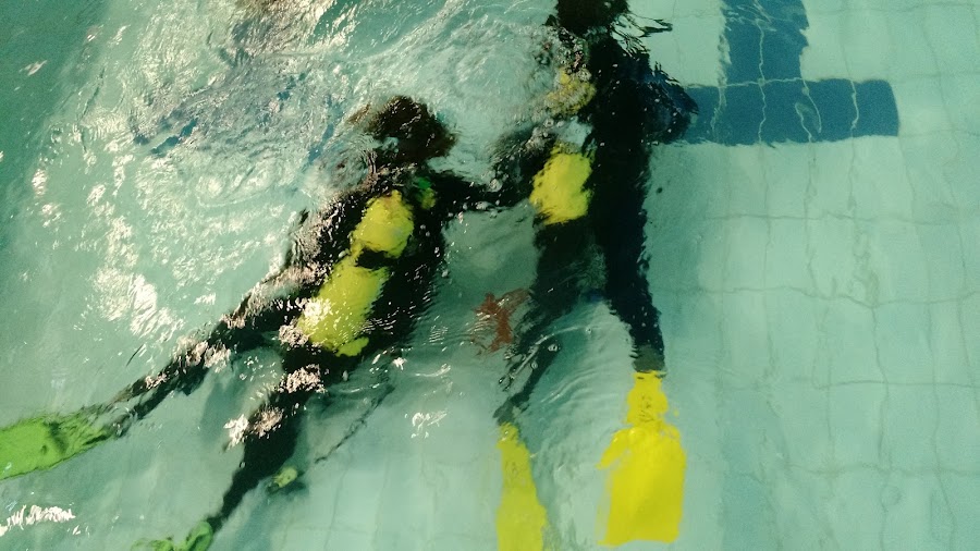 Northbrook Swimming Pool