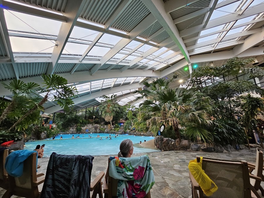 Subtropical Swimming Paradise
