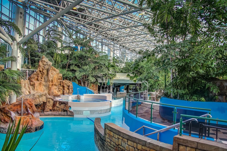 Subtropical Swimming Paradise